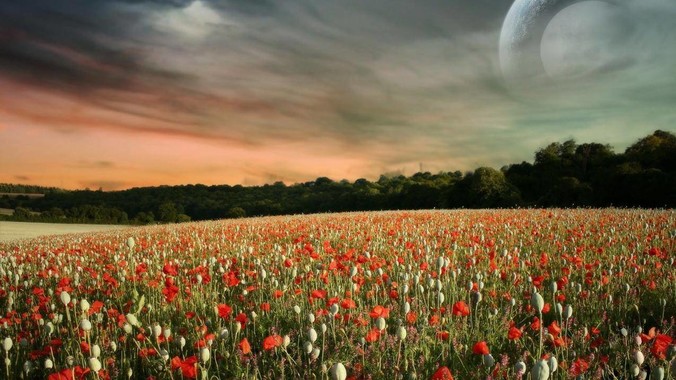 腰椎间盘突出有多痛苦？